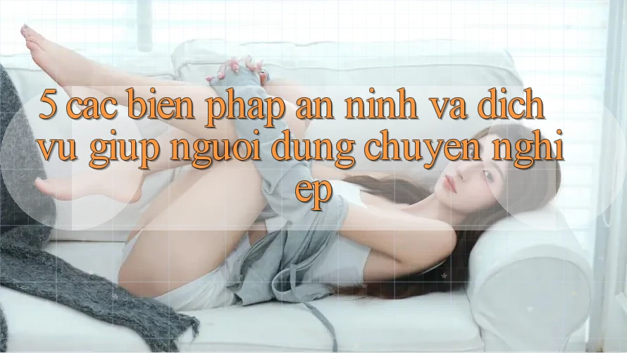 5. Các Biện Pháp An ninh Và Dịch Vụ Giúp Người dùng Chuyên Nghiệp