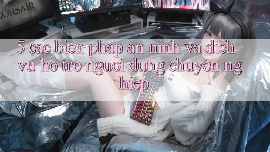 5. Các Biện Pháp An ninh Và Dịch Vụ Hỗ trợ Người dùng Chuyên Nghiệp