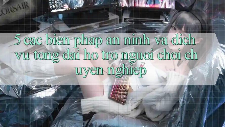 5. Các Biện Pháp An ninh Và Dịch Vụ Tổng đài hỗ trợ Người chơi Chuyên Nghiệp
