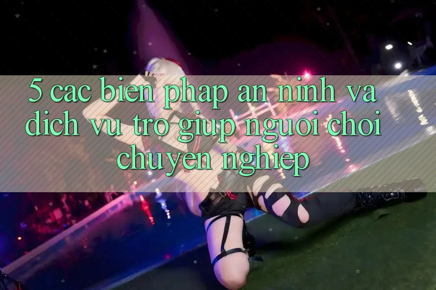 5. Các Biện Pháp An ninh Và Dịch Vụ Trợ giúp Người chơi Chuyên Nghiệp