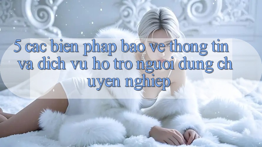 5. Các Biện Pháp Bảo vệ thông tin Và Dịch Vụ Hỗ trợ Người dùng Chuyên Nghiệp