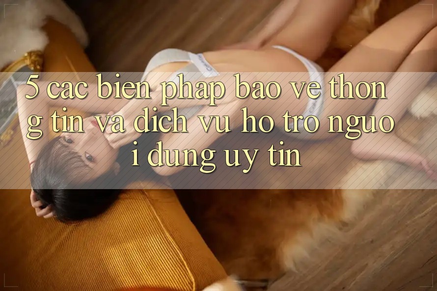 5. Các Biện Pháp Bảo vệ thông tin Và Dịch Vụ Hỗ Trợ Người dùng Uy tín