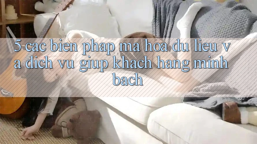 5. Các Biện Pháp Mã hóa dữ liệu Và Dịch Vụ Giúp Khách Hàng Minh bạch