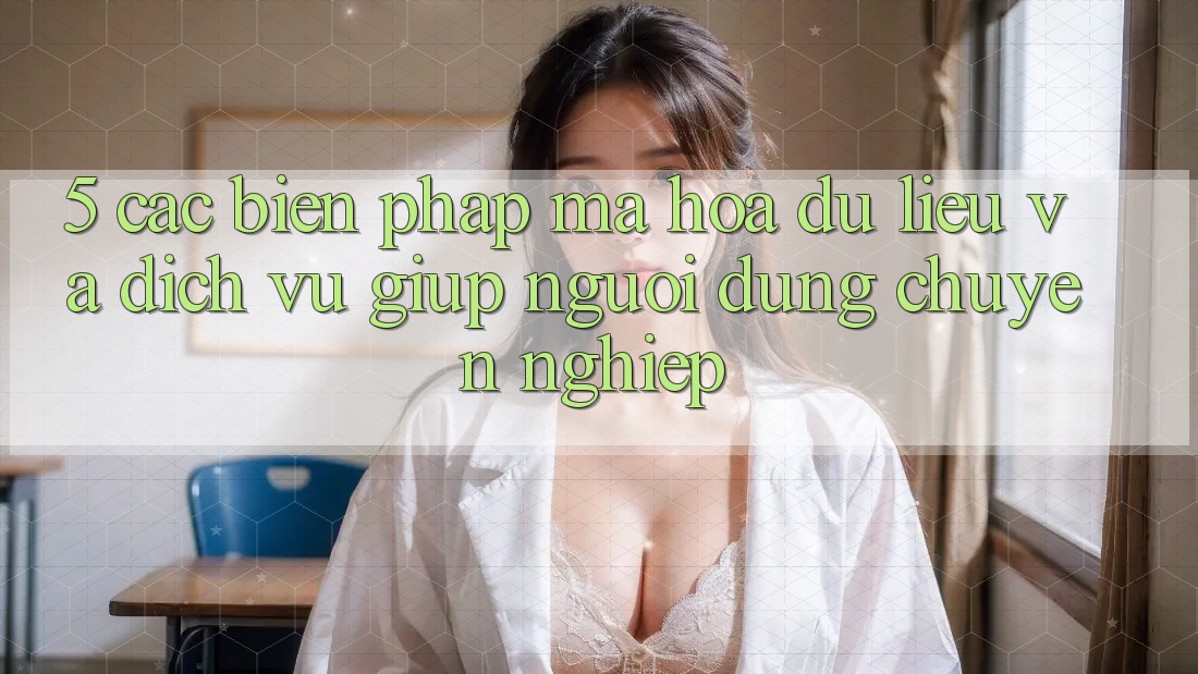 5. Các Biện Pháp Mã hóa dữ liệu Và Dịch Vụ Giúp Người dùng Chuyên Nghiệp