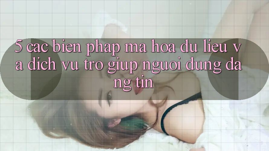 5. Các Biện Pháp Mã hóa dữ liệu Và Dịch Vụ Trợ giúp Người dùng Đáng tin