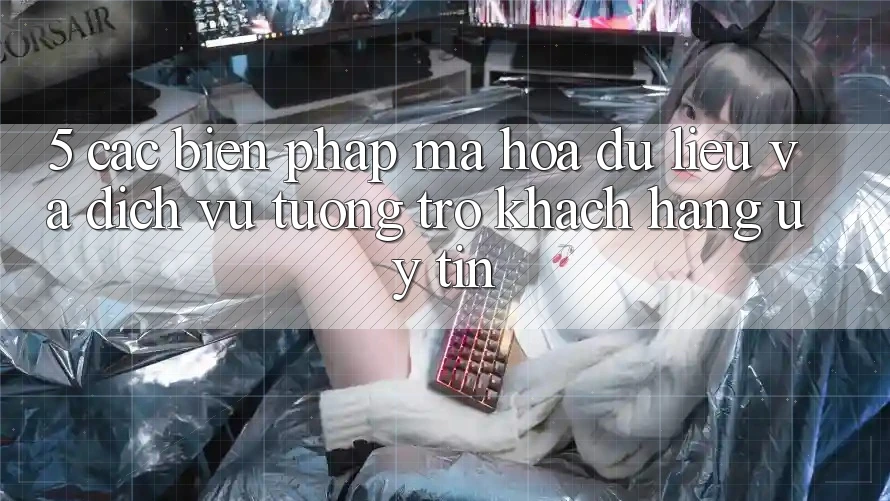 5. Các Biện Pháp Mã hóa dữ liệu Và Dịch Vụ Tương trợ Khách Hàng Uy tín