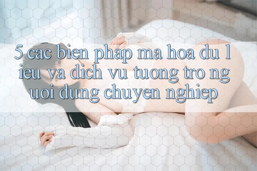 5. Các Biện Pháp Mã hóa dữ liệu Và Dịch Vụ Tương trợ Người dùng Chuyên Nghiệp