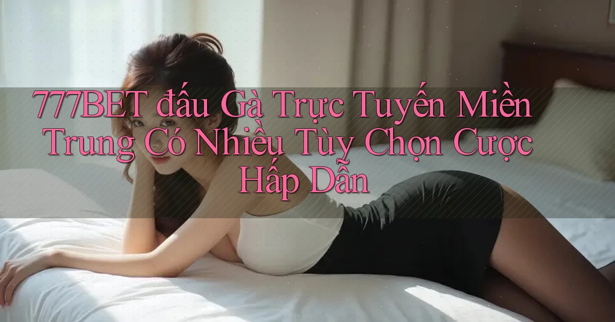 777bet  đấu gà trực tuyến miền trung có nhiều tùy chọn cược hấp dẫn