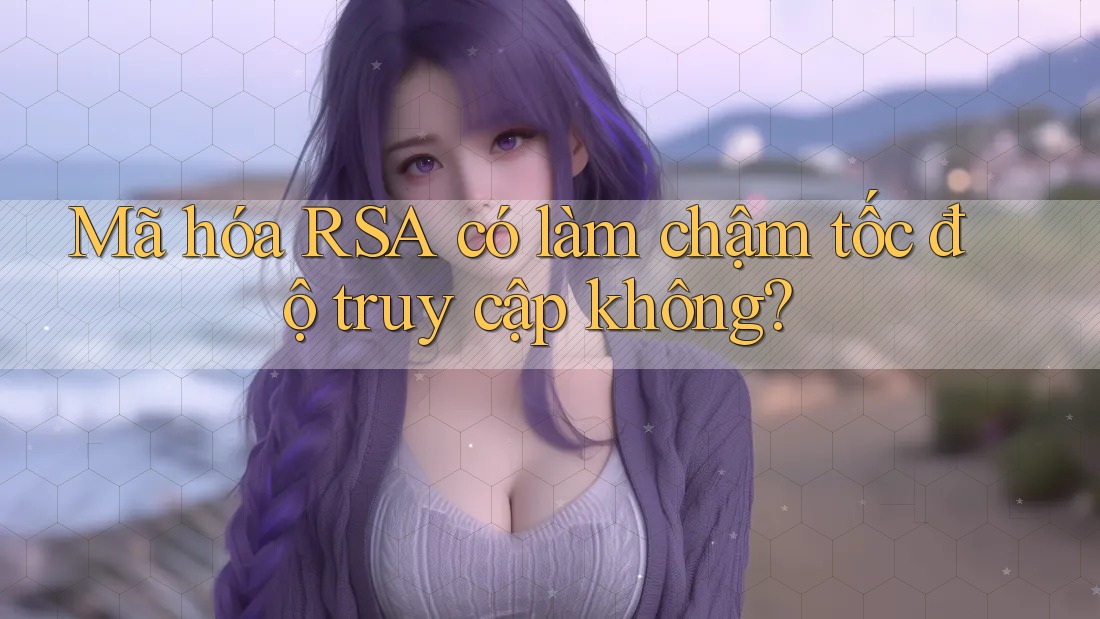 Mã hóa RSA có làm chậm tốc độ truy cập không?