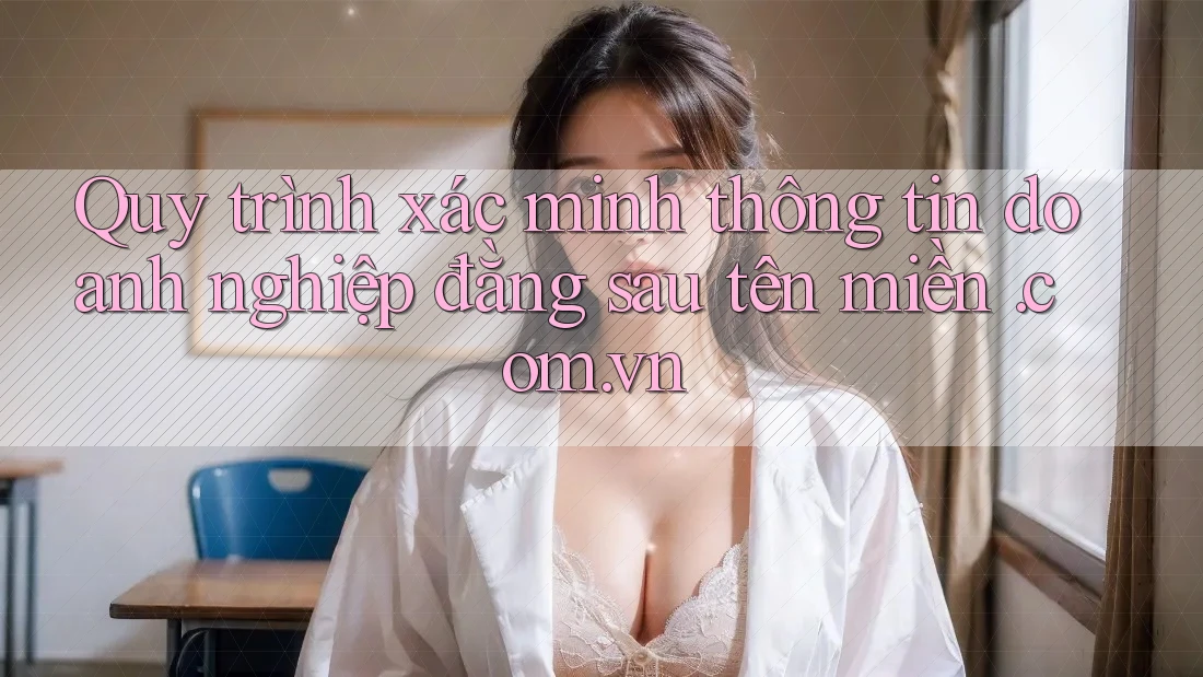 Quy trình xác minh thông tin doanh nghiệp đằng sau tên miền. com. vn