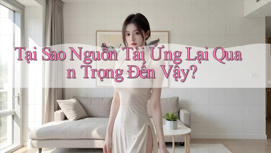 Tại Sao Nguồn Tải Ứng Lại Quan Trọng Đến Vậy?