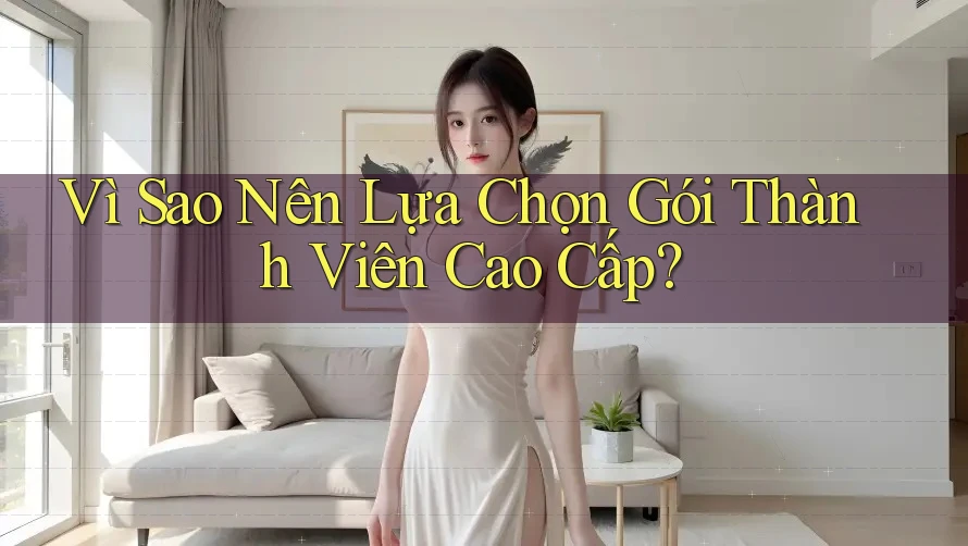 Vì Sao Nên Lựa Chọn Gói Thành Viên Cao Cấp? Vì Sao Nên Lựa Chọn Gói Thành Viên Cao Cấp?